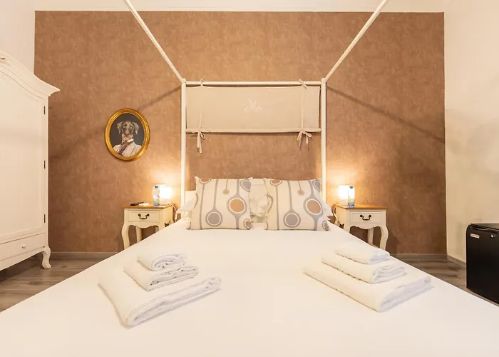 Flaminia Rooms&suites Affittacamere *